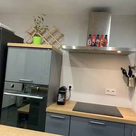 Appartement Neuf Tt Confort - Terrasse Ensoleillee Borgo (Corsica)